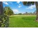 Expansive backyard with lush green grass, mature palm trees, and a clear blue sky above at 8142 Misty Oaks Blvd, Sarasota, FL 34243