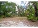 Spacious backyard features mature trees, native landscaping, offering a private and serene outdoor space at 1143 131St E St, Bradenton, FL 34212