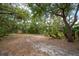 Expansive backyard is surrounded by lush trees and foliage, creating a private and tranquil outdoor space at 1143 131St E St, Bradenton, FL 34212