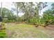 Lush backyard with native landscaping providing a beautiful backdrop adjacent to a screened in lanai and home at 1143 131St E St, Bradenton, FL 34212