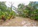 Large, partially cleared backyard with mature trees and native landscaping offering a blend of openness and natural beauty at 1143 131St E St, Bradenton, FL 34212