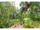 Lush greenery and mature trees create a private, natural setting, offering a tranquil escape in this wooded lot at 1143 131St E St, Bradenton, FL 34212