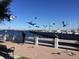 Waterfront view of seagulls flying near the marina and boats under a clear blue sky at 1400 1St W Ave # 506, Bradenton, FL 34205