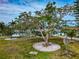 Well-maintained front yard featuring a mature tree surrounded by decorative stones, complementing the light blue home at 1722 Hazelwood St, Sarasota, FL 34231