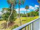 Beautiful backyard view from a balcony with vibrant green grass and several palm trees on a sunny day at 2321 Canal Dr # F25, Bradenton, FL 34207