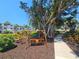 Relaxing wooden swing in a communal green space with mature trees and a walkway at 2321 Canal Dr # F25, Bradenton, FL 34207