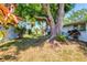 Expansive backyard featuring mature trees, lush greenery, and shade for outdoor enjoyment at 2435 Terry Ln, Sarasota, FL 34231