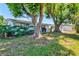 Exterior home view with lush greenery and mature trees providing ample shade and curb appeal at 2435 Terry Ln, Sarasota, FL 34231