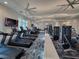 Community gym featuring modern cardio and weight training equipment at 26017 Seastone Dr, Englewood, FL 34223