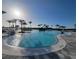 Stunning resort-style pool surrounded by palm trees, offering a serene and luxurious experience at 26017 Seastone Dr, Englewood, FL 34223