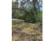 View of the spacious backyard with mature trees, offering shade and privacy at 6013 Idle A While Cir, Dade City, FL 33523