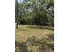 Expansive grassy front yard bordered by lush greenery, enhancing the property's privacy and natural beauty at 6013 Idle A While Cir, Dade City, FL 33523