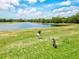Scenic golf course view featuring lush green fairways, a tranquil lake, and a golfer teeing off under a bright blue sky at 7039 Strand Cir # 34-201, Bradenton, FL 34203