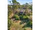 Exterior view of home nestled among mature trees and tropical foliage for enhanced privacy at 754 Pine Run Dr # 754, Osprey, FL 34229