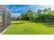 Spacious, fenced backyard with lush green grass, palm trees, and screened-in lanai at 8445 Starlight Loop, Parrish, FL 34219