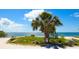 Scenic beach scenery with a palm tree, clear Gulf water, and blue sky at Emerson Point Preserve at 2402 16Th W St, Palmetto, FL 34221