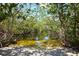 View of a natural pond surrounded by the lush foliage of the community at 2402 16Th W St, Palmetto, FL 34221