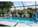 Screened pool features a dolphin water fountain and is surrounded by tropical landscaping at 3984 Holin Ln, North Port, FL 34287