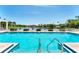 A refreshing community pool with lounge chairs and manicured greenery overlooking a serene lake at 4801 Osprey S Dr # 405, St Petersburg, FL 33711