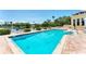 Sparkling blue community pool surrounded by lounge chairs, greenery and palm trees under a bright blue sky at 4801 Osprey S Dr # 405, St Petersburg, FL 33711