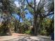 View of a home surrounded by mature trees and lush landscaping, offering privacy and a serene setting at 590 Artists Ave, Englewood, FL 34223