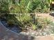 Lush landscaped garden with brick border, bromeliads and decorative bird bath at 590 Artists Ave, Englewood, FL 34223