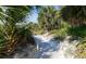 Sandy path leading to the beach, framed by lush tropical vegetation and palm trees at 6285 Midnight Pass Rd # 403, Sarasota, FL 34242