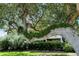 Unique tree growing horizontally in front of the building's exterior at 6285 Midnight Pass Dr # 403, Sarasota, FL 34242