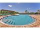 The community has a modern pool, sun shelves, and comfortable lounge chairs at 13013 Oak Hill Way, Parrish, FL 34219