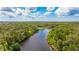 Scenic aerial view showing the river winding through lush greenery, perfect for nature lovers at 14921 Barrows Bluff Ter, Bradenton, FL 34212