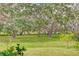 Lush green backyard with mature trees offering shade and creating a peaceful setting at 14921 Barrows Bluff Ter, Bradenton, FL 34212