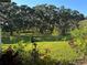 Expansive backyard view features mature trees, lush green lawn, and vibrant colorful landscaping at 14921 Barrows Bluff Ter, Bradenton, FL 34212