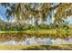 Calm pond reflecting the sky, bordered by lush vegetation and mature trees at 14921 Barrows Bluff Ter, Bradenton, FL 34212