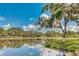 Picturesque pond reflecting the clear blue sky, surrounded by a grassy shoreline and mature trees at 14921 Barrows Bluff Ter, Bradenton, FL 34212