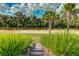 River access featuring steps leading to the water, surrounded by lush greenery and palm trees, offering recreational opportunities at 14921 Barrows Bluff Ter, Bradenton, FL 34212