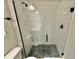 Modern glass-enclosed shower with dark hardware and stylish black pebble flooring at 16905 Sweetwater Village Dr, Bradenton, FL 34211