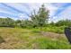 Large backyard with lush green grass, mature trees, and a black metal fence at 17032 Harvest Moon Way, Bradenton, FL 34211