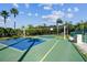 Outdoor volleyball court with blue and green surface surrounded by lush greenery and palm trees at 2407 New Haven Cir, Sun City Center, FL 33573