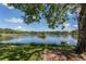 Beautiful lake view with a small island, surrounded by lush greenery and blue skies at 245 Woodingham Trl, Venice, FL 34292