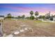 Expansive backyard with palm trees, leading to a serene lake under a beautiful sky at 3941 Glen Oaks E Dr # 32, Sarasota, FL 34232