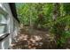 Spacious backyard featuring mature trees, lots of shade, and lots of space at 4233 Abaco Ct, New Port Richey, FL 34653