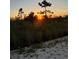 A landscape view of sunset over the grass and shrubbery at 5521 Summit Gln, Bradenton, FL 34203