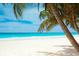 Tropical beach scene with white sand, turquoise water, and swaying palm trees under a clear blue sky at 6012 11Th W Ave, Bradenton, FL 34209