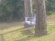 Relaxing purple swing hanging between two trees in a serene yard setting, perfect for enjoying the outdoors at 652 N Elm St, Englewood, FL 34223