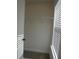 Walk-in closet with carpet floors, shelf, and a window at 11634 Cambium Crown Dr, Riverview, FL 33569
