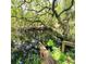 Scenic pond with lush greenery and overhanging tree branches, creating a tranquil natural setting at 1526 Ewing St, Nokomis, FL 34275