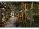 Backyard with gravel, bamboo, pergola, lights, plants and chair create a peaceful outdoor retreat at 2207 Hickory Ave, Sarasota, FL 34234