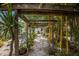 Backyard garden with a wooden pergola, bamboo, and stone pathway at 2207 Hickory Ave, Sarasota, FL 34234