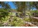 A beautiful single-story home with lots of Florida vegetation in the front yard at 2207 Hickory Ave, Sarasota, FL 34234