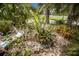 Lush landscaping featuring tropical plants, rocks, and white gravel at 2207 Hickory Ave, Sarasota, FL 34234